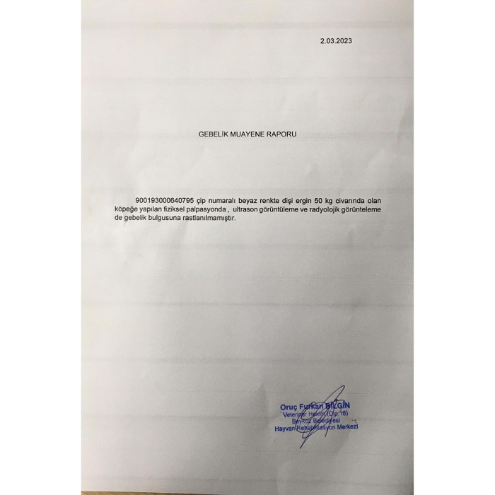 Beykoz Belediyesi o iddialara belgeli yanıt verdi!