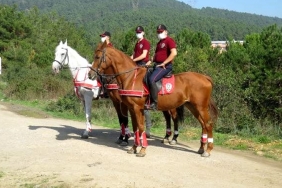 atli-polis-ekipleri-beykoz-da-denetim-yapti_2908-1
