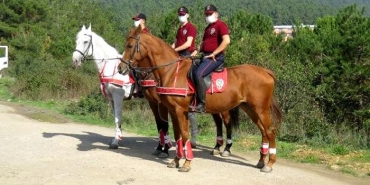 atli-polis-ekipleri-beykoz-da-denetim-yapti_2908-1