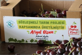 beykoz-ciftciye-yonelik-dogru-politikalarla-tarimd_6456-1