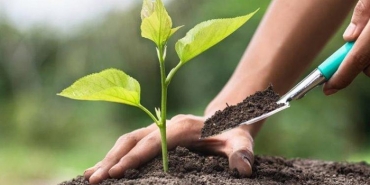 beykoz-da-11-111-fidanlik-hatira-ormani_1208-1