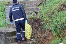 beykoz-da-75-ton-patates-ihtiyac-sahiplerine-ulasi_3476-1