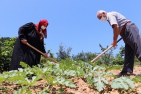 beykoz-da-adil-sozlesmeli-tarim-basvurulari-baslad_9462-1