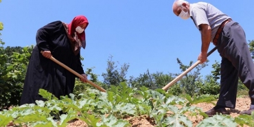 beykoz-da-adil-sozlesmeli-tarim-basvurulari-baslad_9462-1