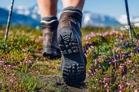 beykoz-da-bahar-yuruyusleri-icin-harika-rotalar-_8074-1