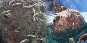 beykoz-da-balikcilari-saskina-ceviren-olay-_2102-1