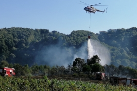 beykoz-da-bir-anlik-ihmal-orman-yanginina-neden-ol_3182-1