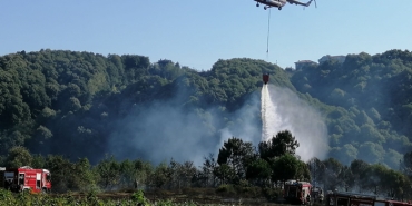 beykoz-da-bir-anlik-ihmal-orman-yanginina-neden-ol_3182-1