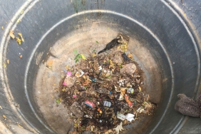 beykoz-da-cop-konteynerine-dusen-yavru-kedi-kurtar_7916-1