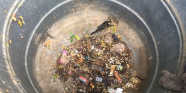 beykoz-da-cop-konteynerine-dusen-yavru-kedi-kurtar_7916-1