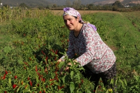 beykoz-da-kent-tarimina-kadin-eli-degdi_8229-1