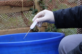 beykoz-da-tum-kaynaklari-kurutalim-_7503-1