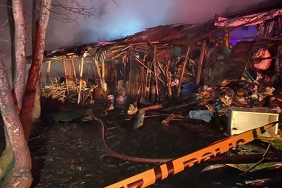 beykoz-da-yangin-cikti-hayvanlar-telef-oldu_7582-1