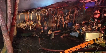 beykoz-da-yangin-cikti-hayvanlar-telef-oldu_7582-1