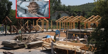 beykoz-daki-ciftcilerin-yuzunu-gulduren-gelismeler_3504-1