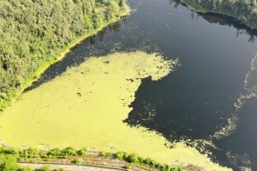 beykoz-elmali-barajinda-korkutan-yesil-tabaka-_9440-1