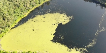 beykoz-elmali-barajinda-korkutan-yesil-tabaka-_9440-1