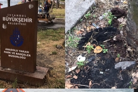 beykoz-kavak-sahilinde-kirlilik-pes-dedirtti-_2751-1