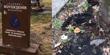 beykoz-kavak-sahilinde-kirlilik-pes-dedirtti-_2751-1