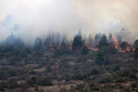 beykoz-mahmut-sevket-pasa-ormanlik-alanda-yangin_5812-1