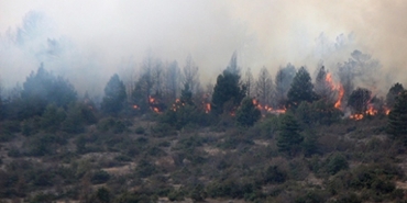 beykoz-mahmut-sevket-pasa-ormanlik-alanda-yangin_5812-1