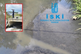 beykoz-riva-da-cevre-katliamina-885-bin-lira-ceza-_6218-1