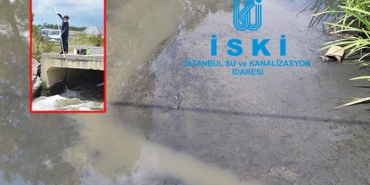 beykoz-riva-da-cevre-katliamina-885-bin-lira-ceza-_6218-1