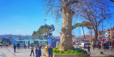 beykoz-un-2020-nufusu-yine-azaldi_7902-1