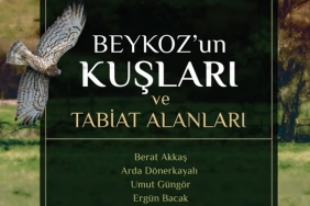 Beykoz’un 287 kuş türü bir kitapta toplandı
