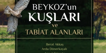Beykoz’un 287 kuş türü bir kitapta toplandı
