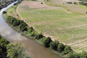 beykoz-un-devasa-karpuzlari-havadan-goruntulendi_3194-1