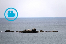 beykoz-un-issiz-adasi-varligindan-cogu-kisinin-hab_4859-1