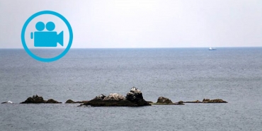 beykoz-un-issiz-adasi-varligindan-cogu-kisinin-hab_4859-1