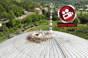 beykoz-un-misafir-leylekleri-havadan-goruntulendi-_4792-1