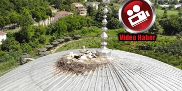 beykoz-un-misafir-leylekleri-havadan-goruntulendi-_4792-1