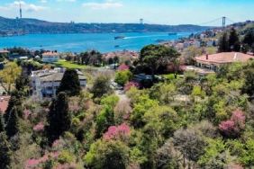 isbaharin-mujdecisi-erguvanlar-beykoz-u-renklendirdi_1964-1