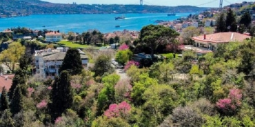 isbaharin-mujdecisi-erguvanlar-beykoz-u-renklendirdi_1964-1