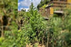 isbeykoz-da-19-kilo-kenevir-ele-gecirildi_2009-1