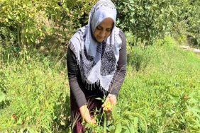 isbeykoz-da-ailesi-icin-ekti-gelir-kapisi-oldu_5969-4