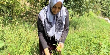 isbeykoz-da-ailesi-icin-ekti-gelir-kapisi-oldu_5969-4