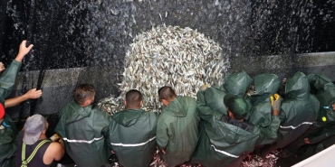 isbeykoz-da-balikcilar-vira-bismillah-diyerek-denize_6652-1