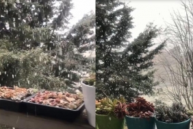 isbeykoz-da-beklenen-kar-yagisi-basladi_8059-4