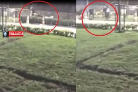 isbeykoz-da-bir-ogretmen-10-kopegin-saldirisina-ugra_7139-1