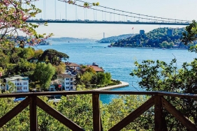 isbeykoz-da-bol-oksijenli-park-ve-bahce-rotalari_7720-4