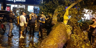 isbeykoz-da-faciadan-kil-payi-kurtuldular_6425-1