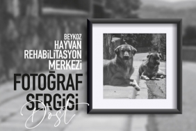 isbeykoz-da-hayvanlari-koruma-gunune-ozel-sergi_8491-1