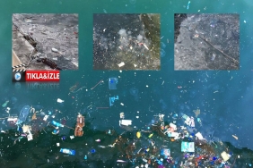 isbeykoz-da-her-sey-cok-guzel-oluyor-sahili-pislik-k_7000-1