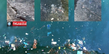 isbeykoz-da-her-sey-cok-guzel-oluyor-sahili-pislik-k_7000-1