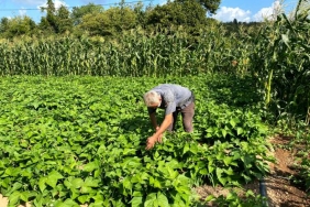 isbeykoz-da-hobi-icin-urettigi-urunler-gelir-kapisi-_3569-1