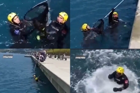 isbeykoz-da-iskele-demirlerinde-mahsur-kalan-kedi-ku_1908-1